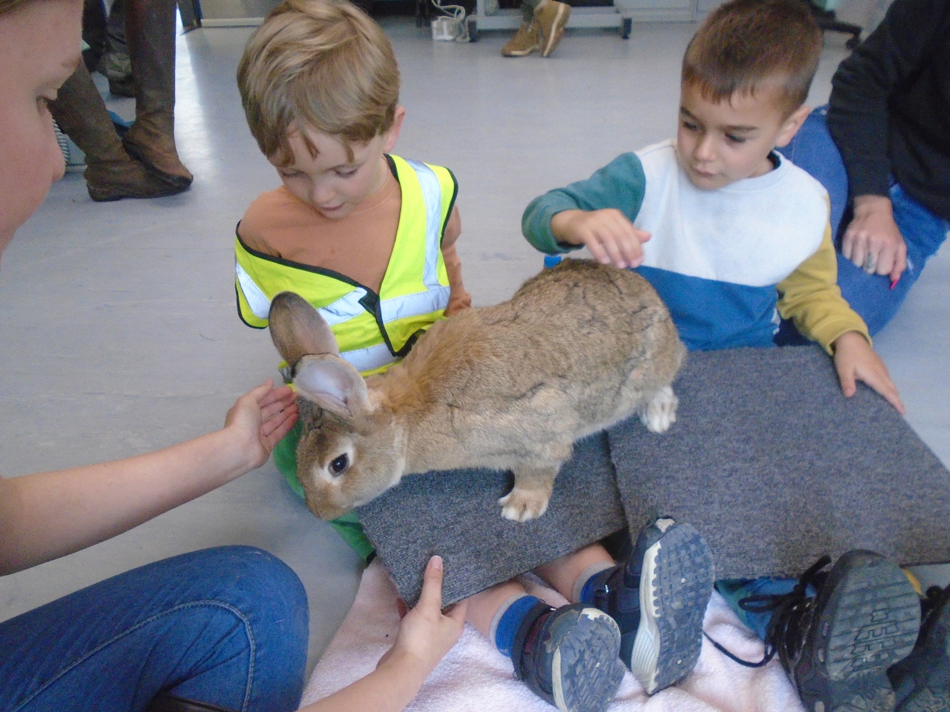 Pre-School Visit The Farm
